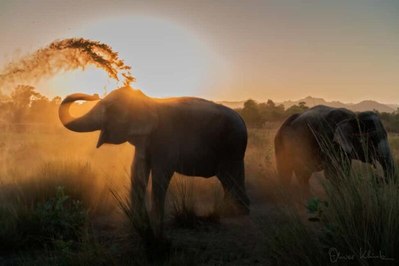 Jaipur: Private Elephant Sanctuary - Key Points