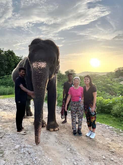 Jaipur: Private Elephant Sanctuary - What You Can Expect: Day-to-Day Breakdown