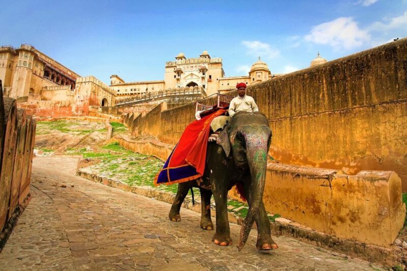 Jaipur: Private Full-Day City Tour by Tuk-Tuk or Car - Key Points