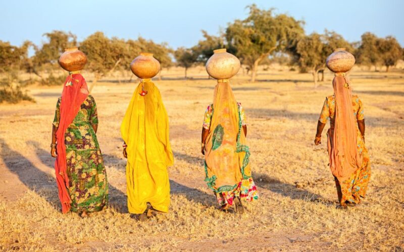 Jaipur: Private Full-Day City Tour with Guide and Transfers - Authenticity and Value