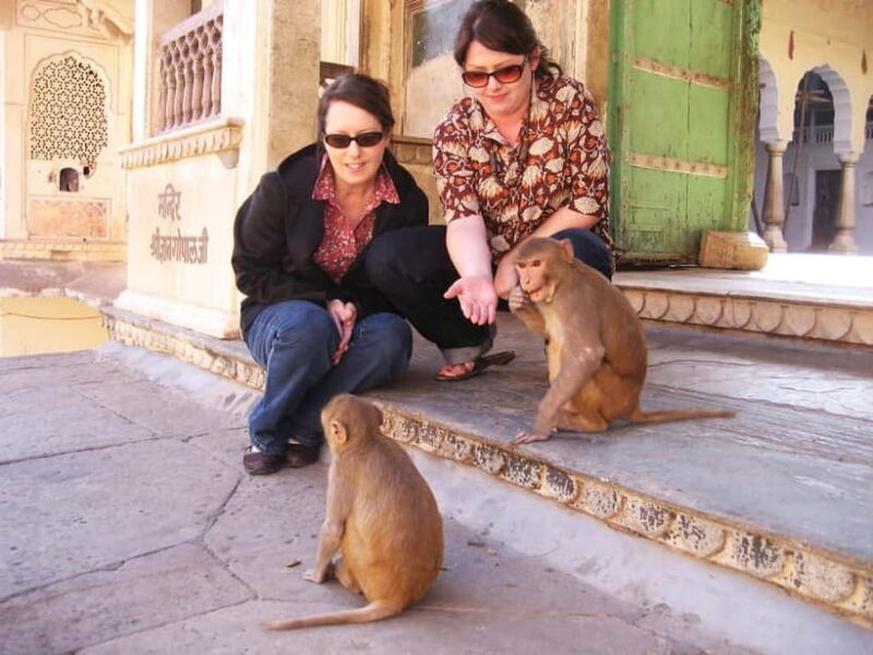 Jaipur: Private Full-Day Pink City Tour with Monkey Temple - Key Points