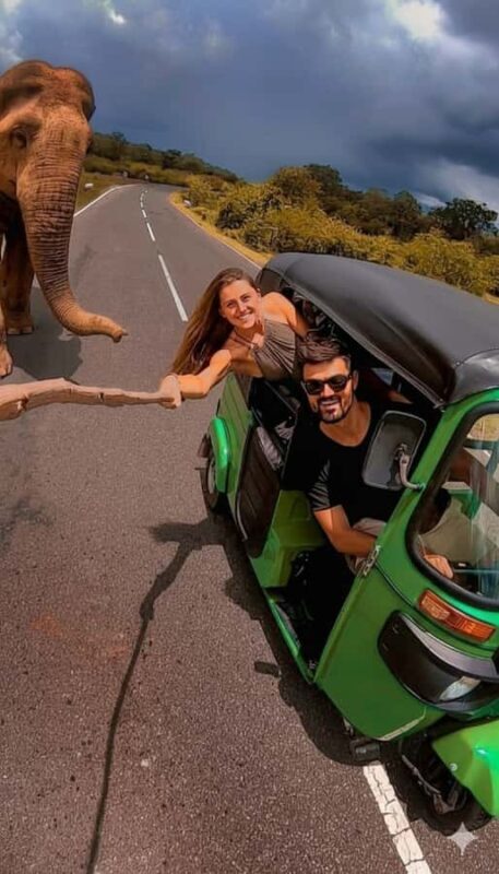 Jaipur: Private Full-Day Top Attraction Tour by Tuk-Tuk - Who Will Love This Tour?