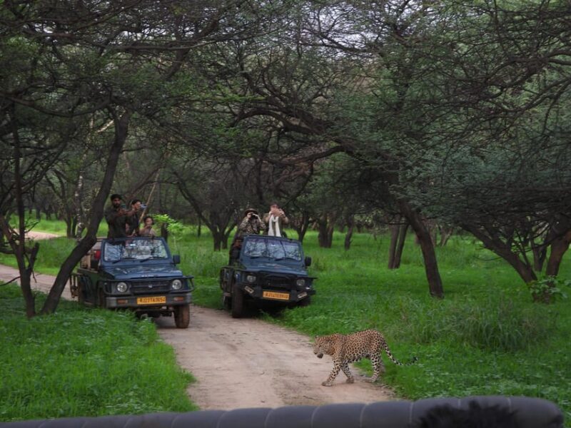 Jaipur: Private Guided Jhalana Leopard Safari Tour - FAQ