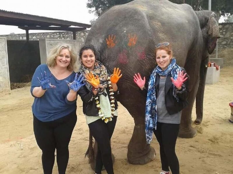Jaipur: Private Jaipur Trip with Elephant Village Attraction - Key Points