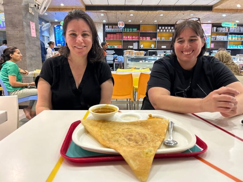 Jaipur: Private PinkCity & Stepwell Heritage Tour with Guide - Key Points