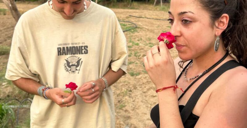 Jaipur: Private PinkCity & Stepwell Heritage Tour with Guide - Who Should Consider This Tour?