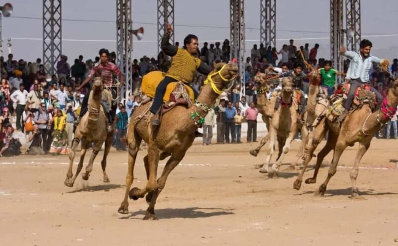 Jaipur: Private Same-Day Trip to Ajmer & Pushkar - Who Is This Tour Best For?