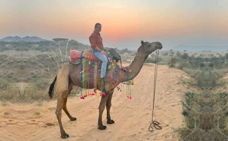Jaipur: Pushkar Day Trip with Optional Camel Safari - A Practical Guide to the Jaipur: Pushkar Day Trip