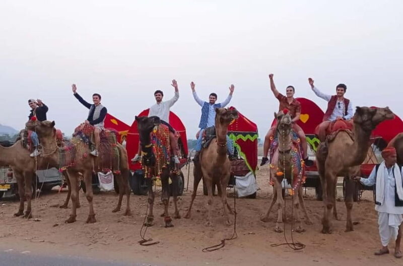 Jaipur: Pushkar Day Trip with Optional Camel Safari - Who Will Love This Tour?