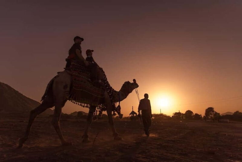 Jaipur: Pushkar Day Trip with Optional Camel Safari - FAQ