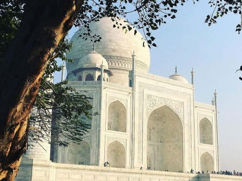 Jaipur: Same Day Taj Mahal & Agra Fort with transfers - Who Should Consider This Tour?