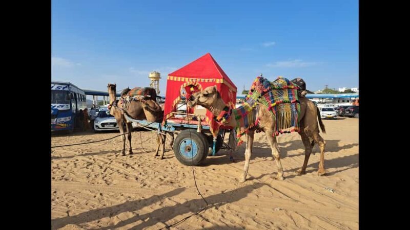 Jaipur to Puskar Same Day trip - Key Points