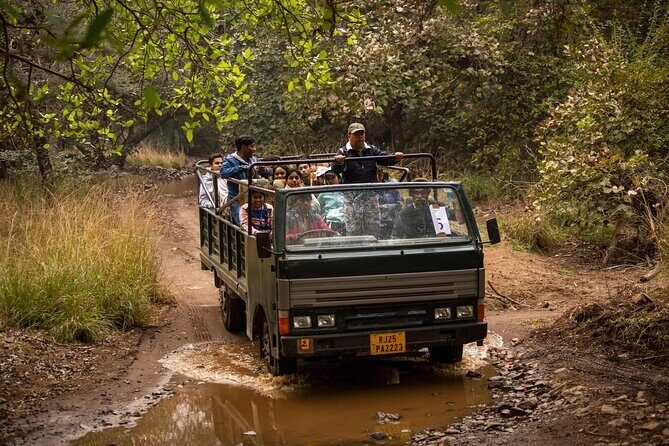 Jaipur to Ranthambore Day Trip with Safari and Transfers - The Experience from a Traveler’s Perspective