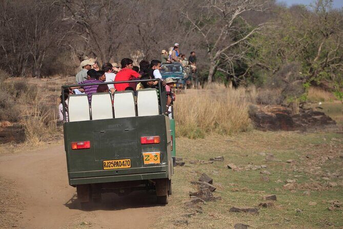 Jaipur to Ranthambore Day Trip with Safari and Transfers - Final Thoughts