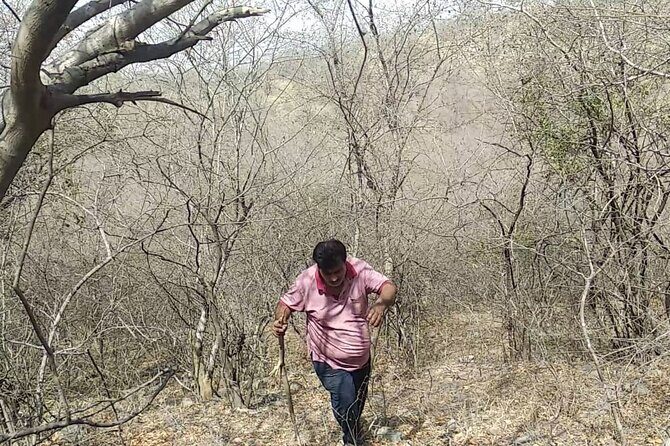 Jaipur Trekking and Hiking Tour with Guide - The Reviewers’ Perspectives