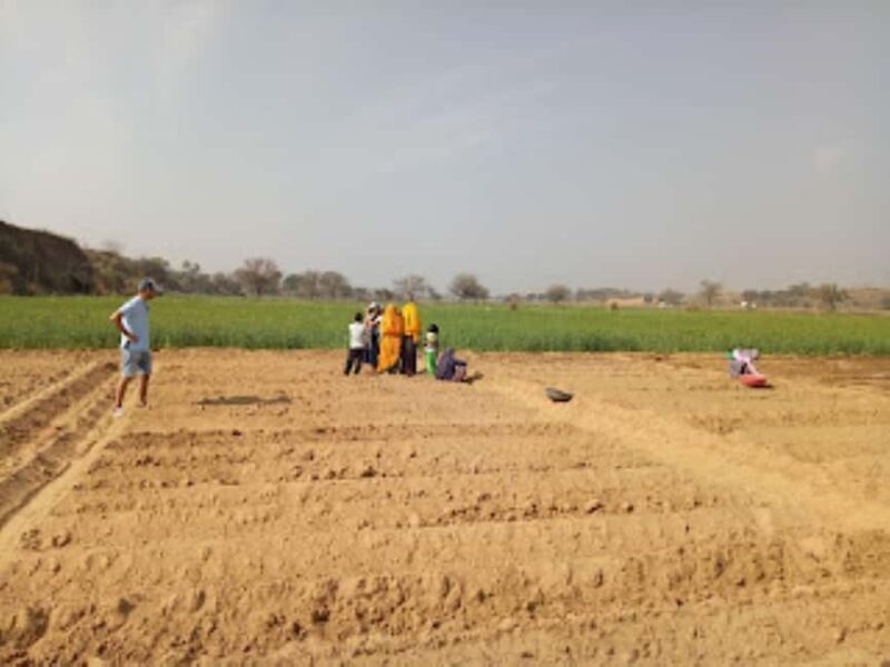 Jaipur: Village Jeep Safari in Open Jeeps - Final thoughts on value