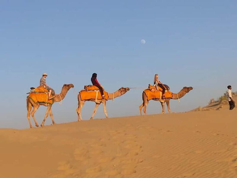 Jaisalmer: Half-Day Camel Tour with Dinner - What to Expect During the Tour