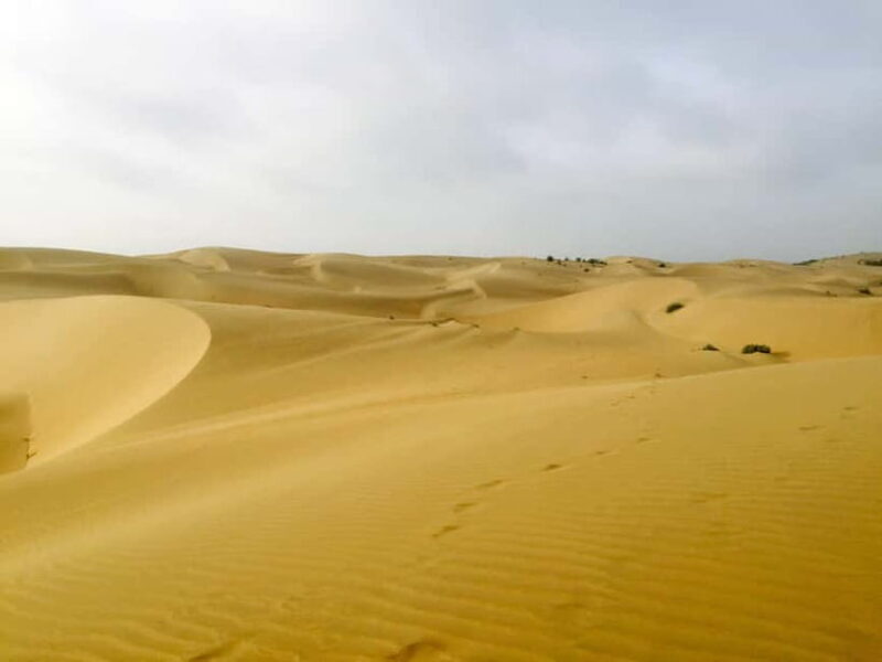 Jaisalmer: Half-Day Camel Tour with Dinner - Who Should Consider This Tour