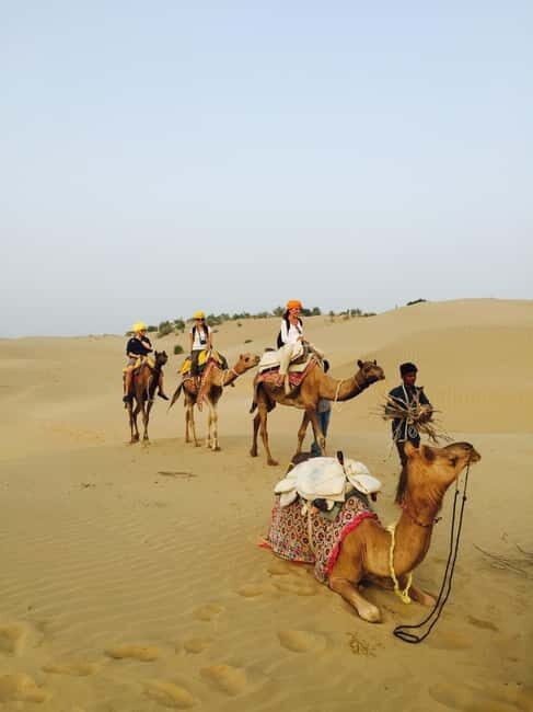Jaisalmer: Half-Day Camel Tour with Dinner - FAQ