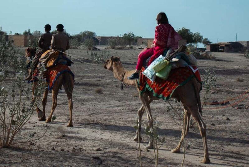Jaisalmer: Nomadic Overnight Thar Desert & Camel Safari - Early Morning & Return