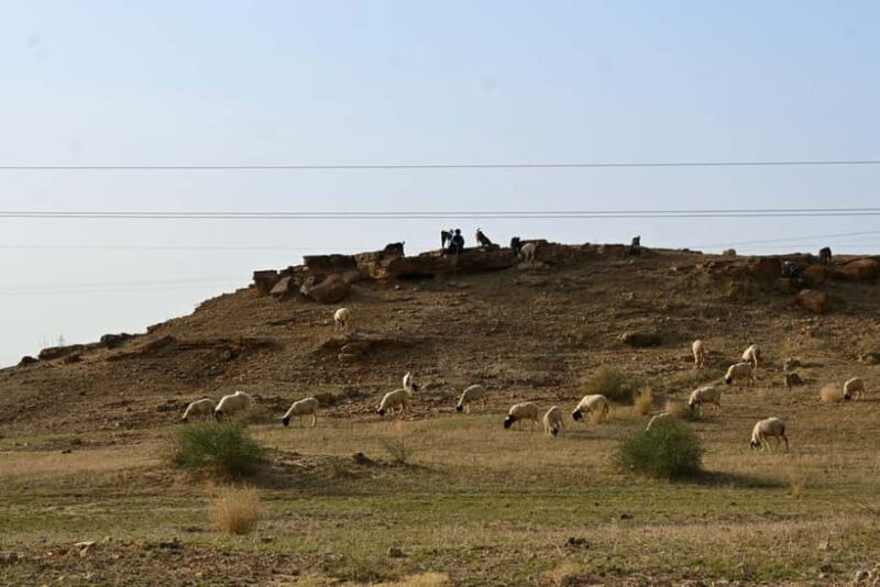 Jaisalmer: Sam Sand Dunes Sunset Tour with Camel Ride - What We Love About This Tour