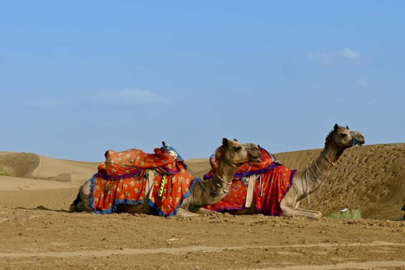 Jaisalmer: Sam Sand Dunes Sunset Tour with Camel Ride - An Optional Cultural Feast