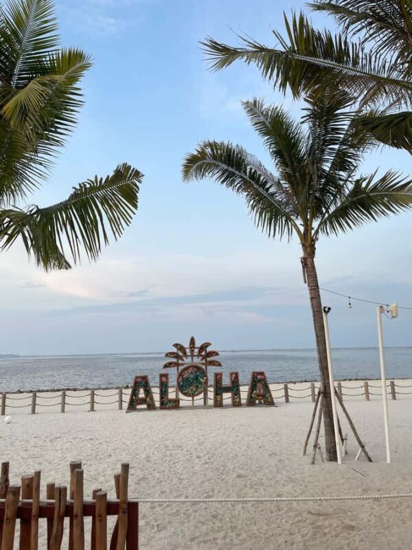 Jakarta: Ancol and Pantai Indah Kapuk | Multilingual Guide - Who This Tour Is Perfect For