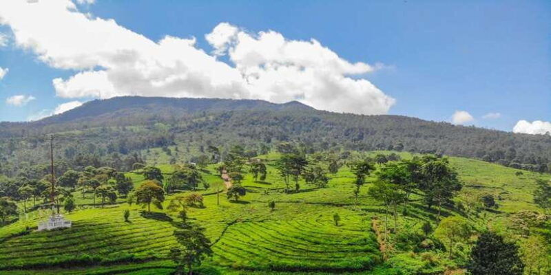 jakarta-bandung-volcano-day-tour