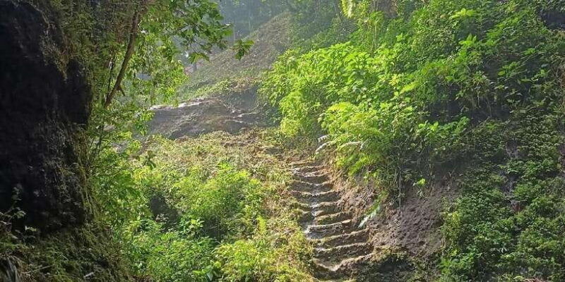 jakarta-bogor-botanical-garden-waterfall-and-rice-terrace