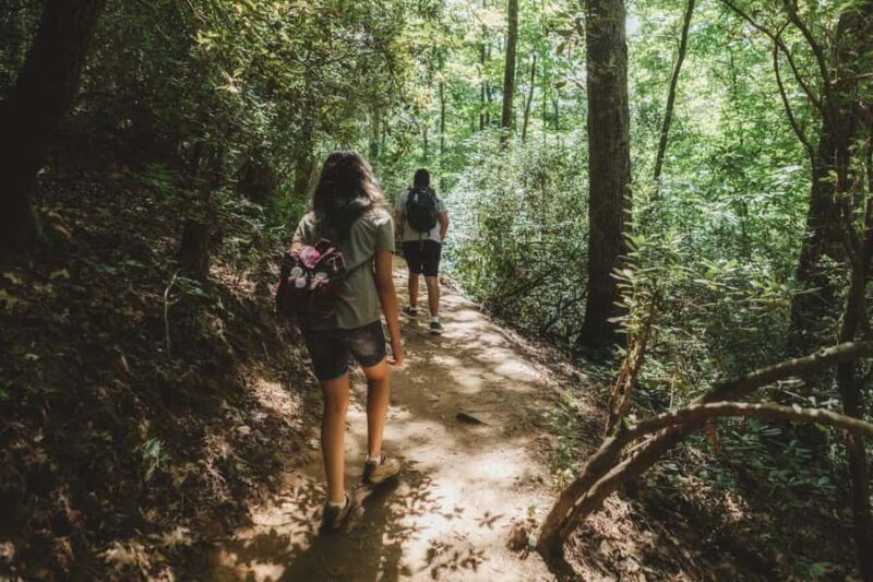 Jakarta: Botanical Garden & Rainforest Trekking to Waterfall - Key Points