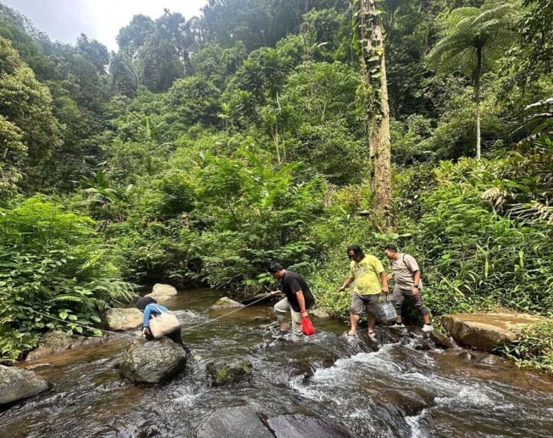 Jakarta: Botanical Garden & Rainforest Trekking to Waterfall - An In-Depth Look at the Tour Experience