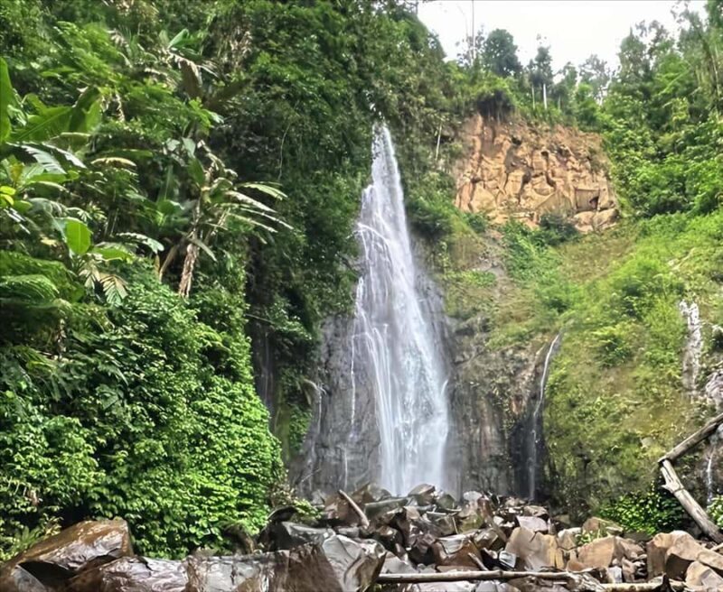 Jakarta: Botanical Garden & Rainforest Trekking to Waterfall - Authentic Insights from Reviewers