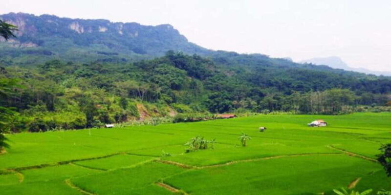 jakarta-botanical-garden-waterfall-village-rice-field