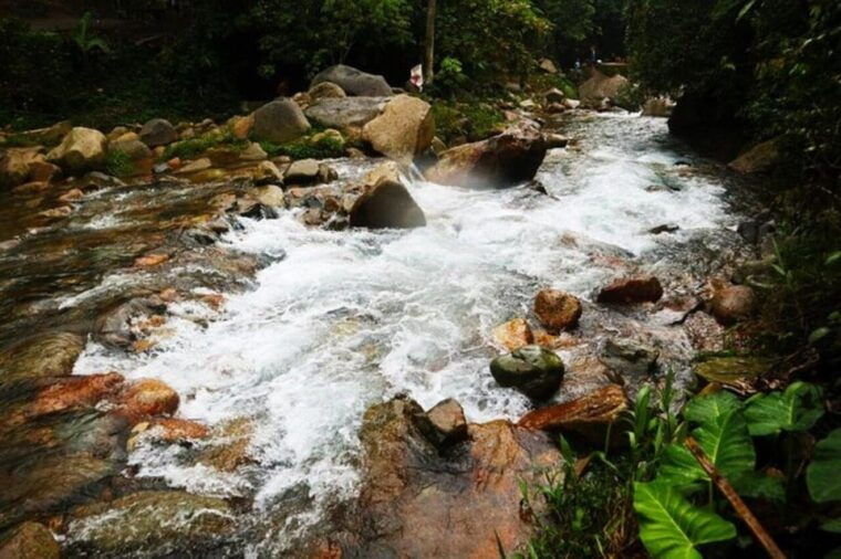 jakarta-botanical-garden-waterfall-village-rice-field
