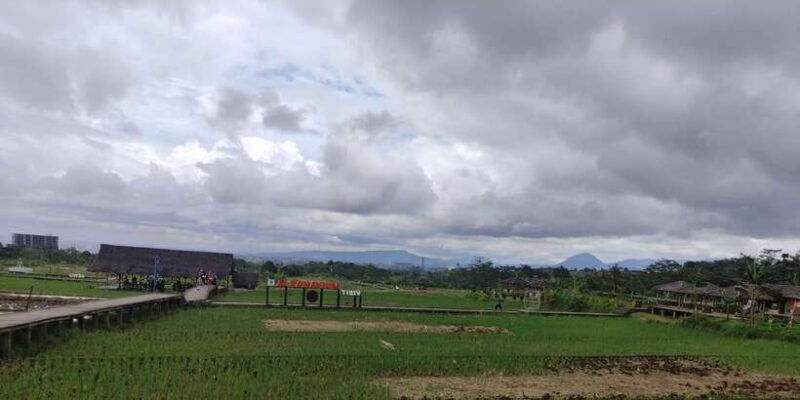 jakarta-botanical-garden-waterfalls-and-rice-fields-tour