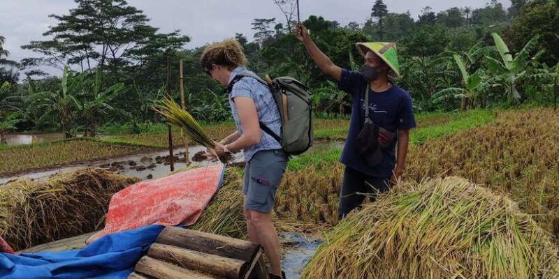 jakarta-botanical-garden-waterfalls-and-rice-fields-tour
