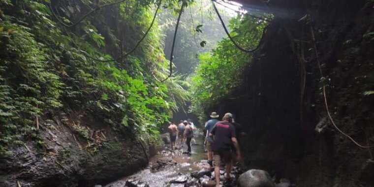 jakarta-botanical-garden-waterfalls-and-rice-fields-tour