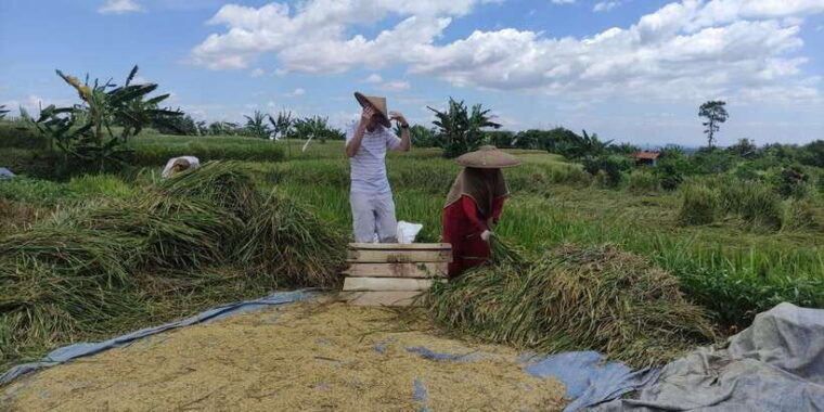 jakarta-botanical-garden-waterfalls-and-rice-fields-tour