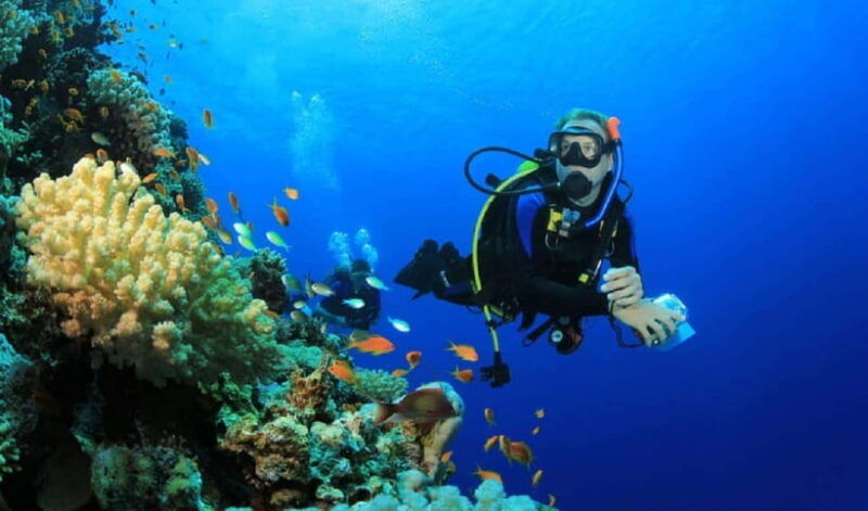 jakarta-diving-at-thousand-islands-marine-park-day-trip