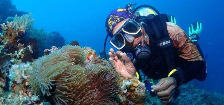 jakarta-diving-at-thousand-islands-marine-park-day-trip