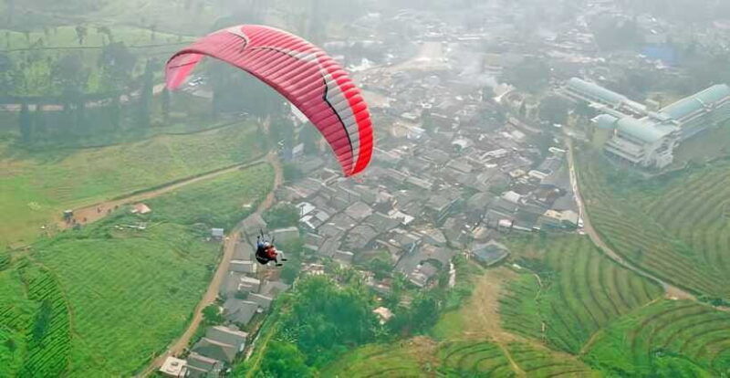 jakarta-paragliding-on-top-mountain-tea-plantation