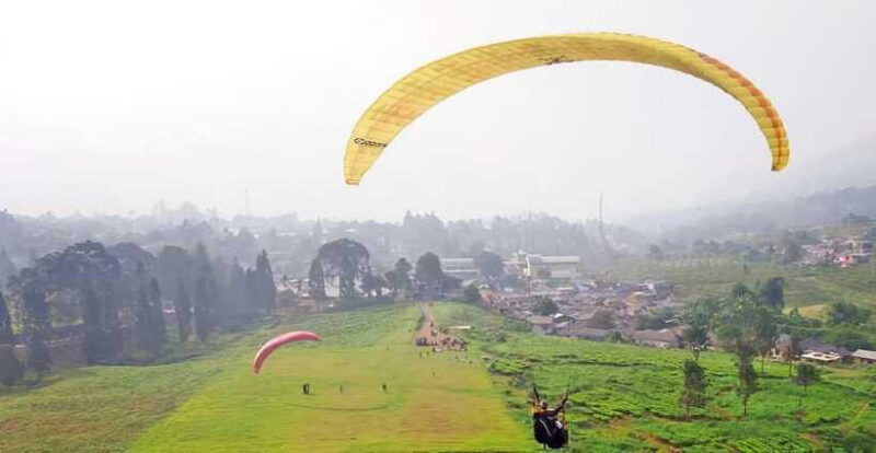 jakarta-paragliding-on-top-mountain-tea-plantation