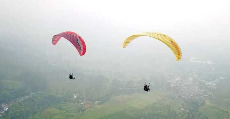 jakarta-paragliding-on-top-mountain-tea-plantation