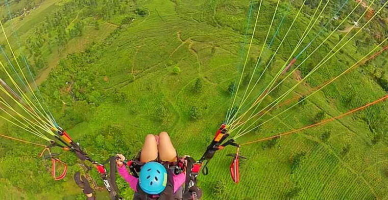 jakarta-paragliding-on-top-mountain-tea-plantation