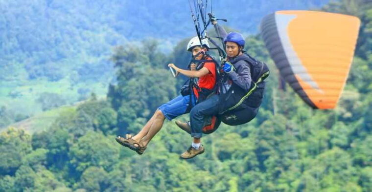 jakarta-paragliding-on-top-mountain-tea-plantation