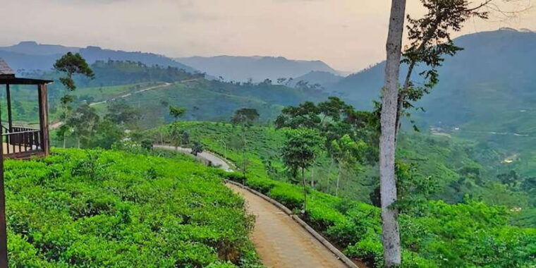 jakarta-private-tour-gunung-padang-site