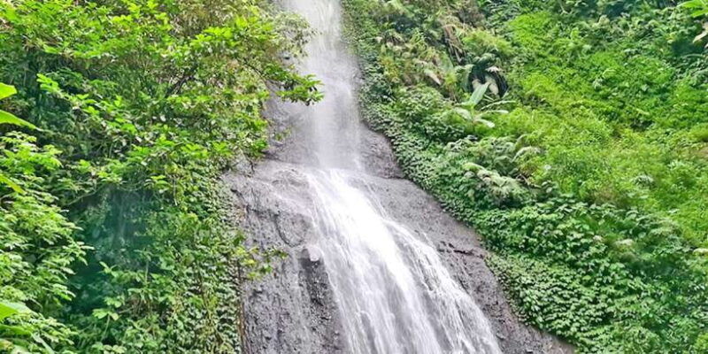 jakarta-private-tour-safari-park-tea-plants-waterfall