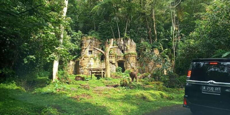 jakarta-private-tour-safari-park-tea-plants-waterfall