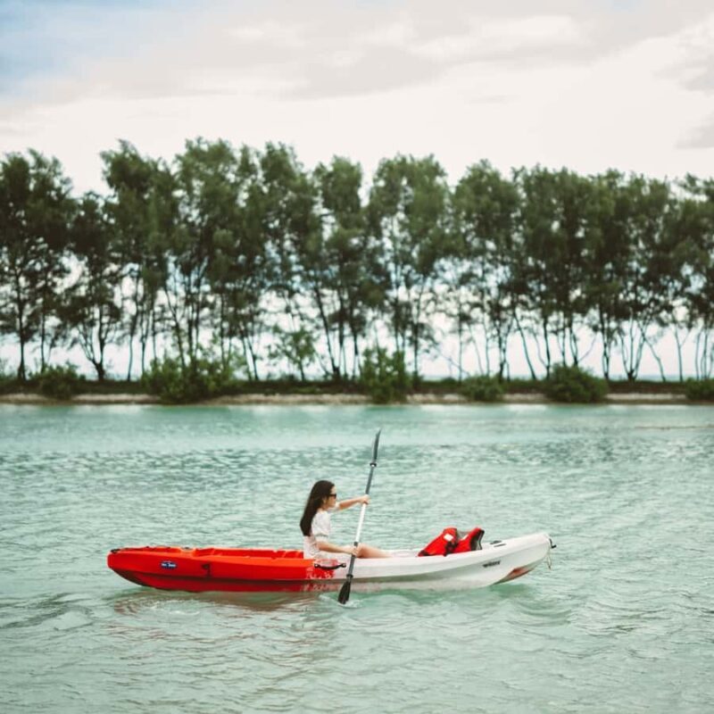 Jakarta: Private Yacht Trip to Sepa Island with Snorkeling - The Main Event: Snorkeling at Sepa Island