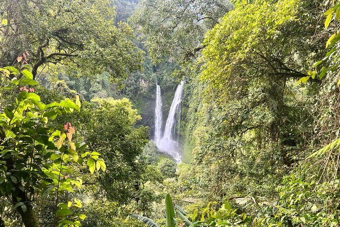 Jakarta Rainforest Hiking to Hidden Waterfall & Suspension Bridge - Practical Tips for Travelers